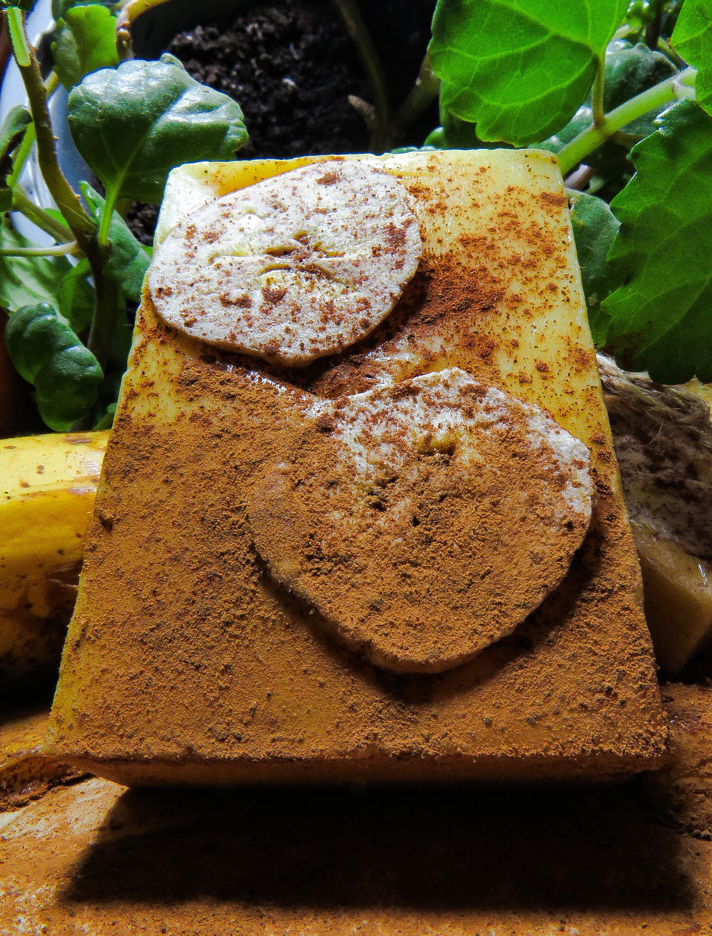 Delicia Canaria🍌