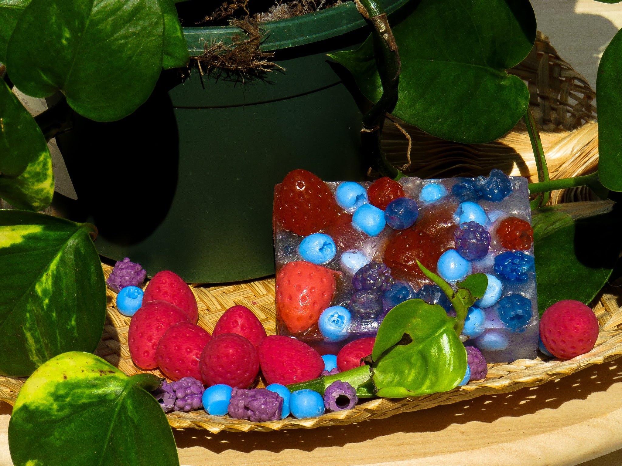 Frutos del Bosque 🫐🍓