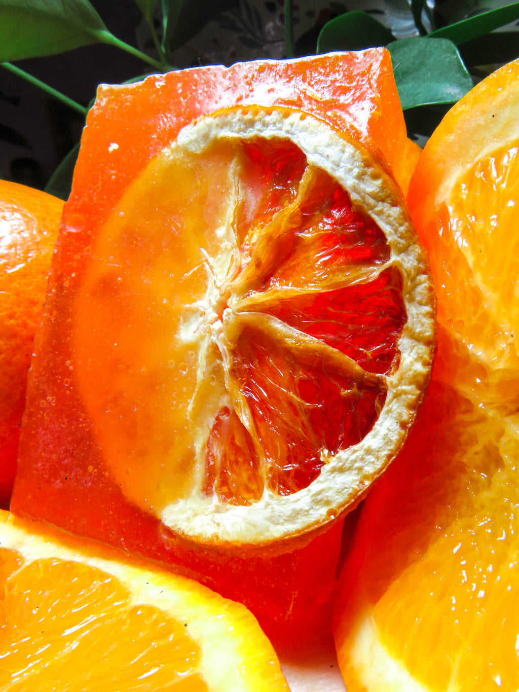 Naranjo Mediterráneo 🍊