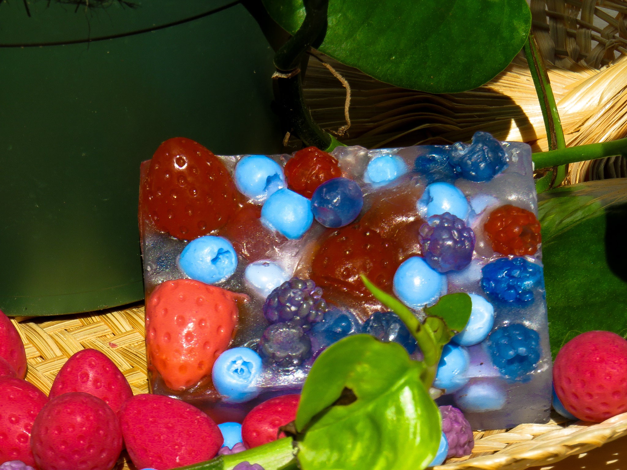 Frutos del Bosque 🫐🍓