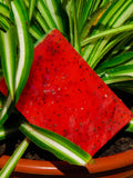 Sandía Fresca 🍉