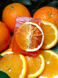 Naranjo Mediterráneo 🍊