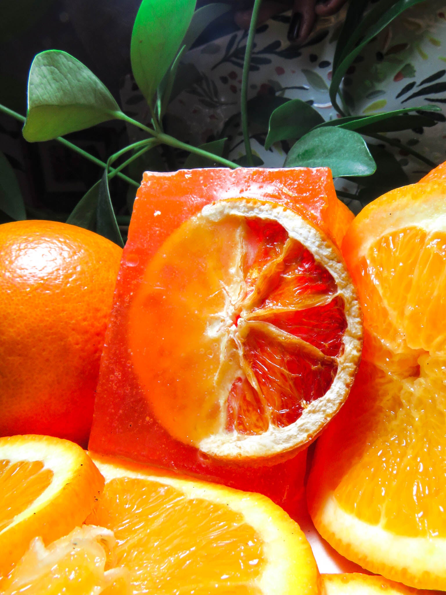 Naranjo Mediterráneo 🍊