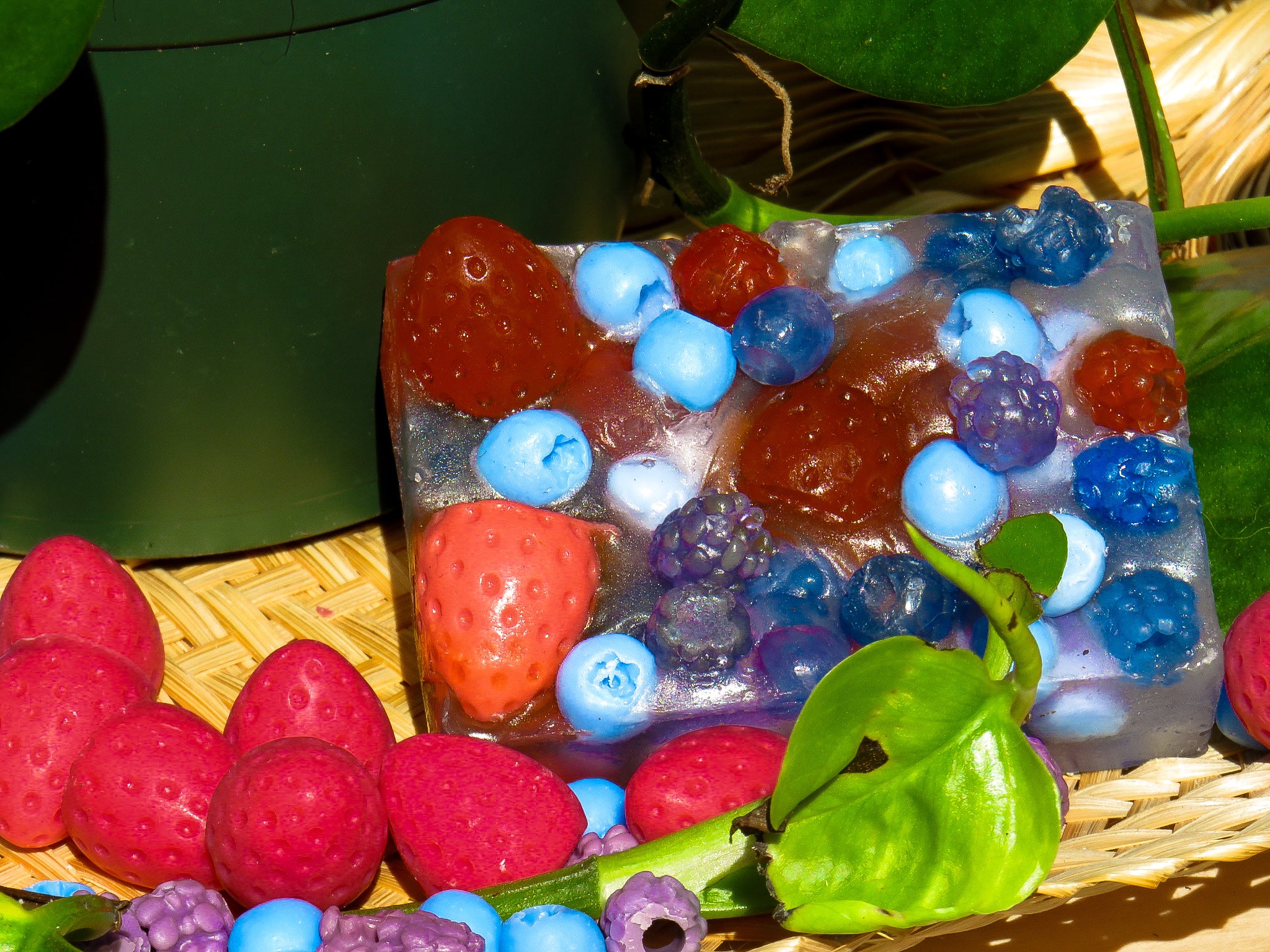 Frutos del Bosque 🫐🍓