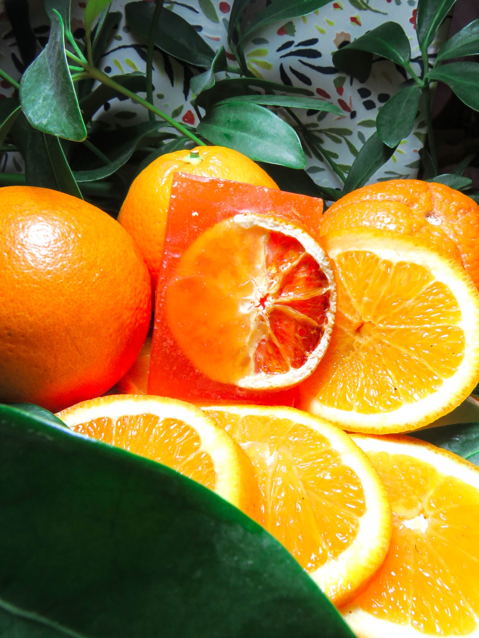 Naranjo Mediterráneo 🍊